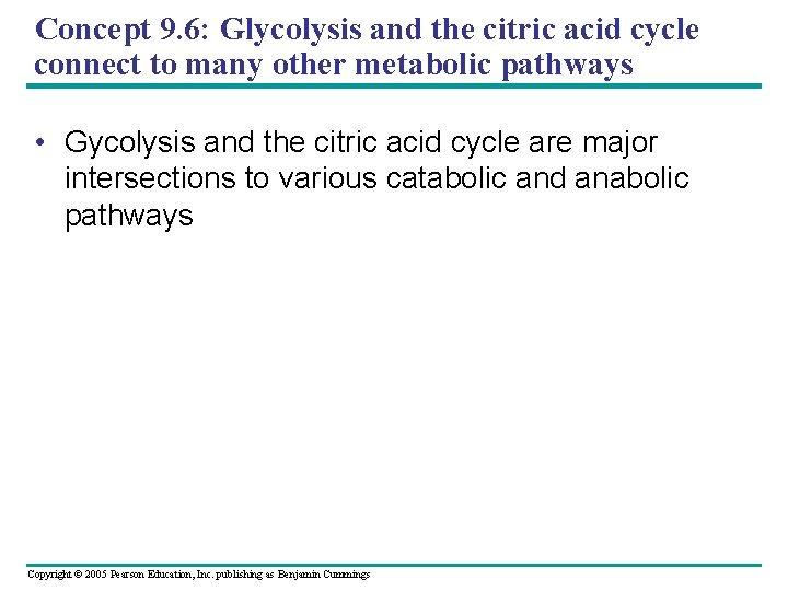 Concept 9. 6: Glycolysis and the citric acid cycle connect to many other metabolic