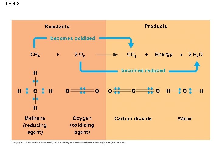 LE 9 -3 Products Reactants becomes oxidized CH 4 2 O 2 + CO