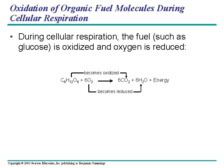 Oxidation of Organic Fuel Molecules During Cellular Respiration • During cellular respiration, the fuel