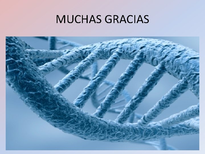 MUCHAS GRACIAS MUCHAS GRACIAS