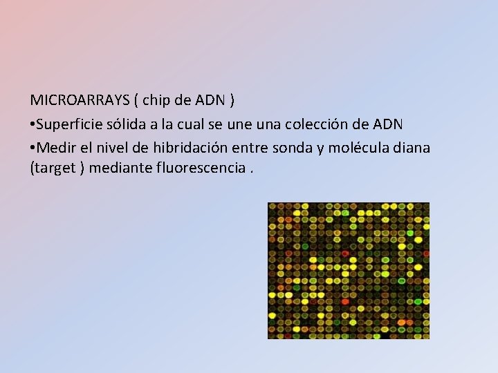 MICROARRAYS ( chip de ADN ) • Superficie sólida a la cual se una MICROARRAYS ( chip de ADN ) • Superficie sólida a la cual se una