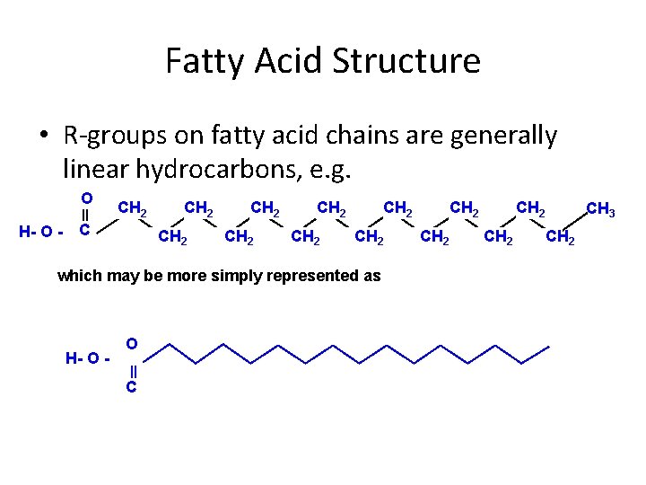 Fatty Acid Structure • R-groups on fatty acid chains are generally linear hydrocarbons, e.