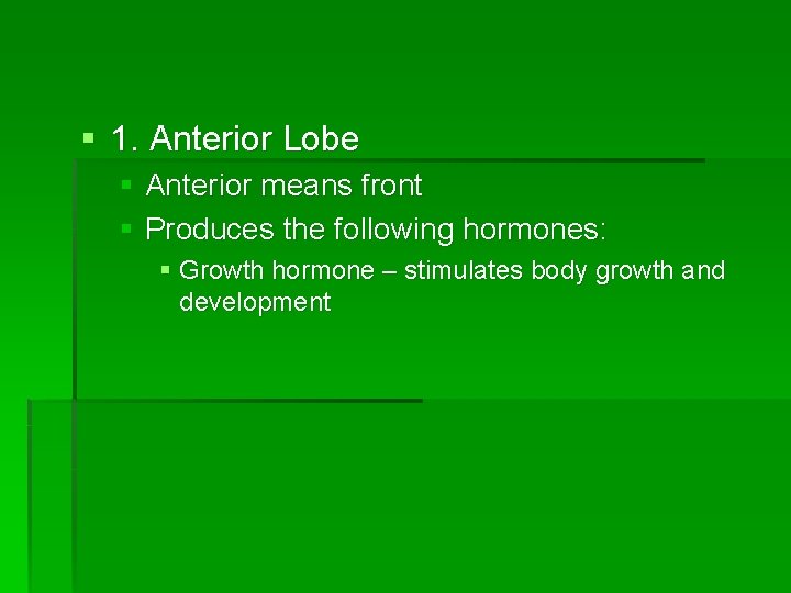 § 1. Anterior Lobe § Anterior means front § Produces the following hormones: §