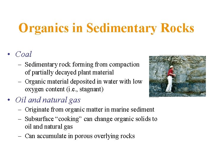 Organics in Sedimentary Rocks • Coal – Sedimentary rock forming from compaction of partially
