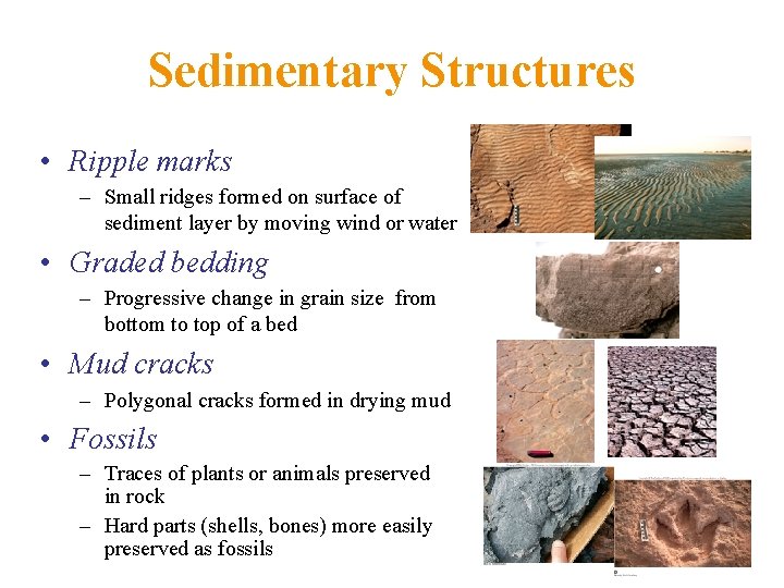 Sedimentary Structures • Ripple marks – Small ridges formed on surface of sediment layer