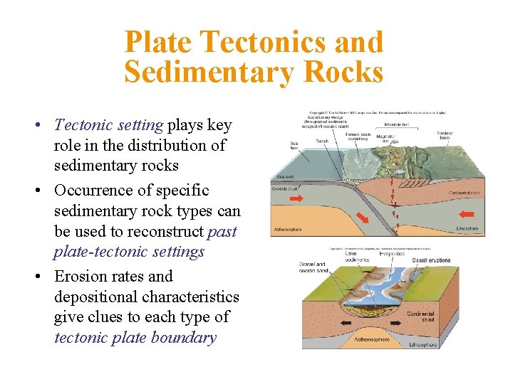 Plate Tectonics and Sedimentary Rocks • Tectonic setting plays key role in the distribution