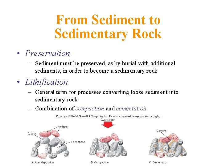 From Sediment to Sedimentary Rock • Preservation – Sediment must be preserved, as by