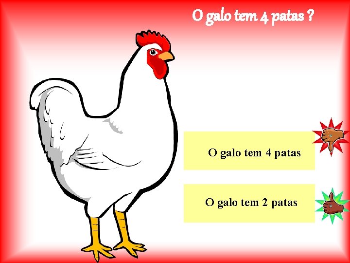 O galo tem 4 patas ? O galo tem 4 patas O galo tem