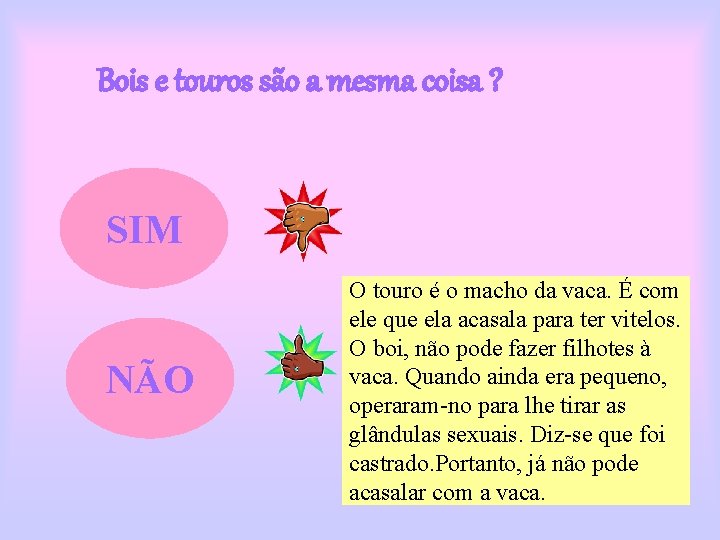 Bois e touros são a mesma coisa ? SIM NÃO O touro é o Bois e touros são a mesma coisa ? SIM NÃO O touro é o