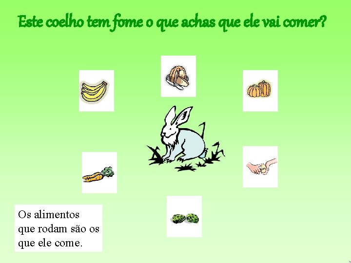 Este coelho tem fome o que achas que ele vai comer? Os alimentos que Este coelho tem fome o que achas que ele vai comer? Os alimentos que