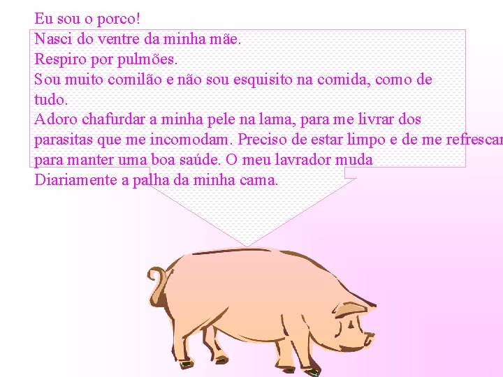 Eu sou o porco! Nasci do ventre da minha mãe. Respiro por pulmões. Sou