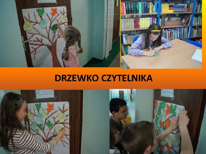 DRZEWKO CZYTELNIKA 