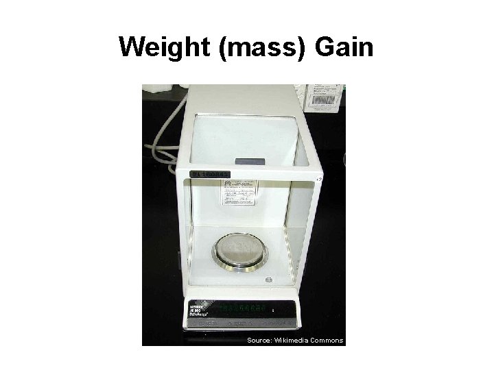 Weight (mass) Gain Source: Wikimedia Commons 