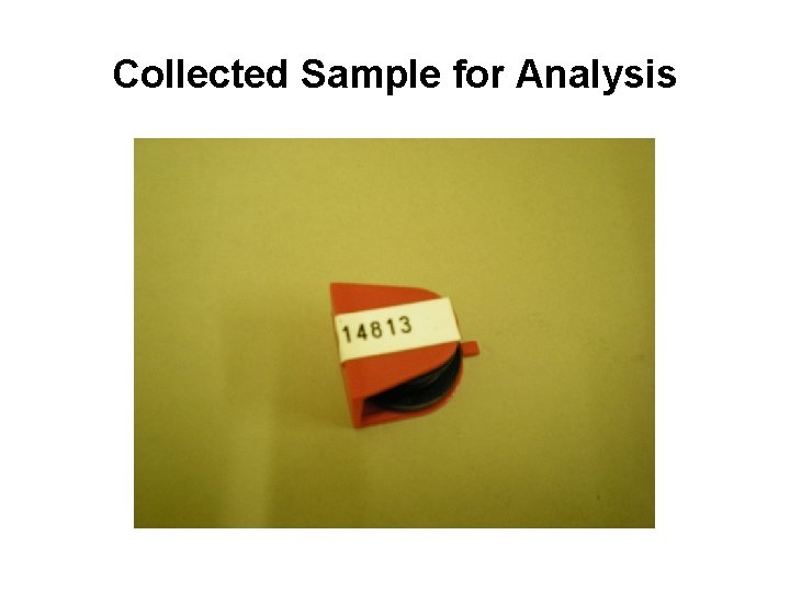 Collected Sample for Analysis 