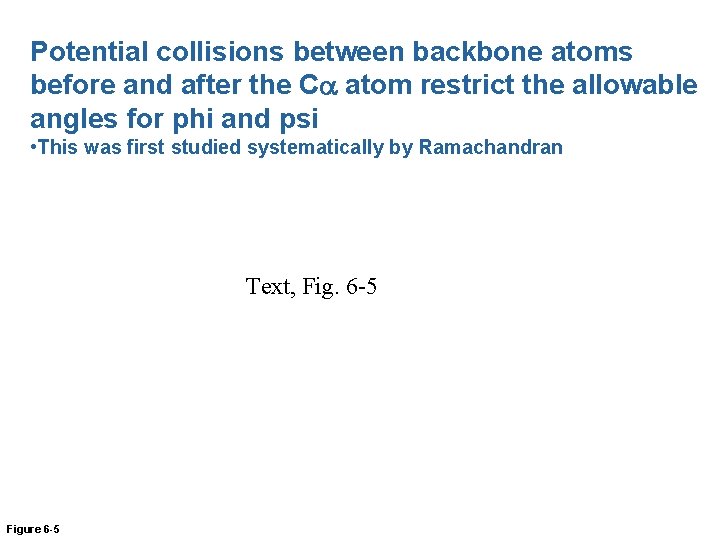 Potential collisions between backbone atoms before and after the Ca atom restrict the allowable