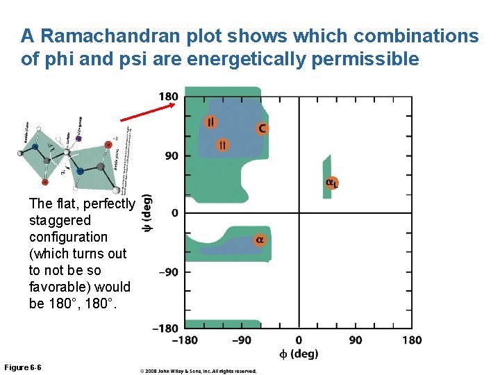A Ramachandran plot shows which combinations of phi and psi are energetically permissible The