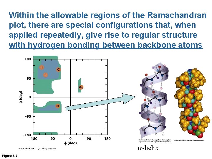 Within the allowable regions of the Ramachandran plot, there are special configurations that, when