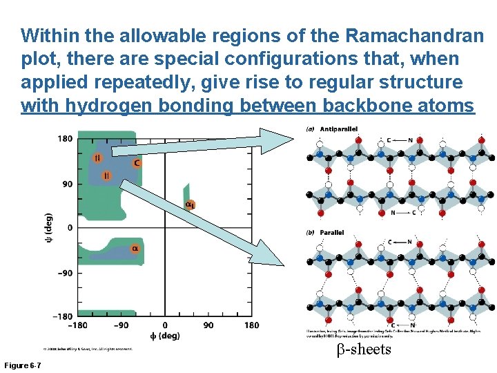Within the allowable regions of the Ramachandran plot, there are special configurations that, when