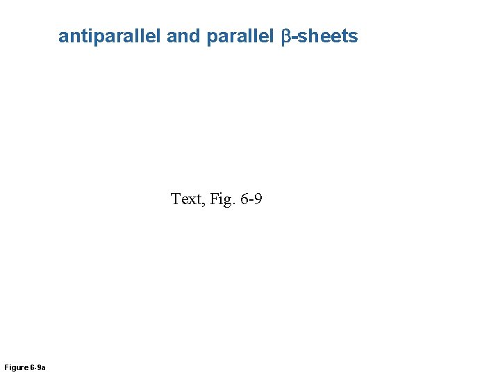 antiparallel and parallel b-sheets Text, Fig. 6 -9 Figure 6 -9 a 
