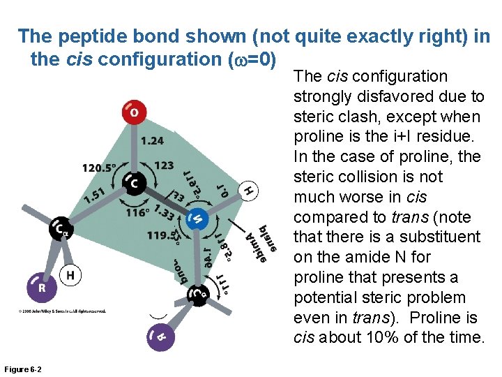 The peptide bond shown (not quite exactly right) in the cis configuration (w=0) The
