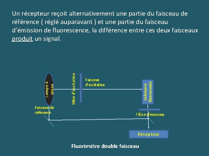 Faisceau de référence Faisceau d’excitation Substance fluorescente Filtre d’excitation Lampe à xénon Un récepteur