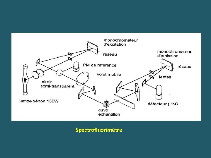 Spectrofluorimétre 