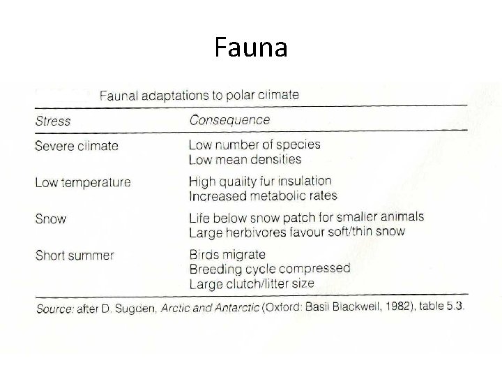 Fauna 