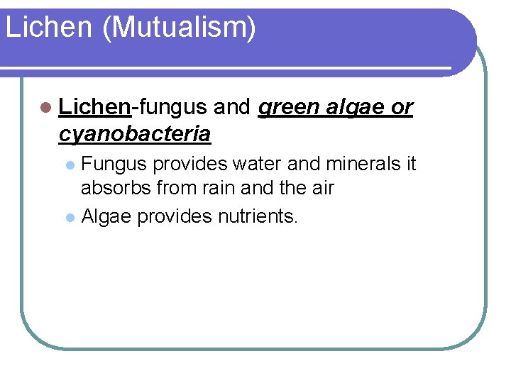 Lichen (Mutualism) l Lichen-fungus and green algae or cyanobacteria Fungus provides water and minerals