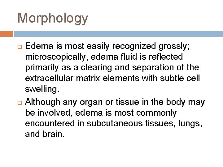 Morphology Edema is most easily recognized grossly; microscopically, edema fluid is reflected primarily as Morphology Edema is most easily recognized grossly; microscopically, edema fluid is reflected primarily as