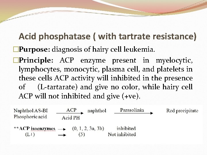Acid phosphatase ( with tartrate resistance) �Purpose: diagnosis of hairy cell leukemia. �Principle: ACP