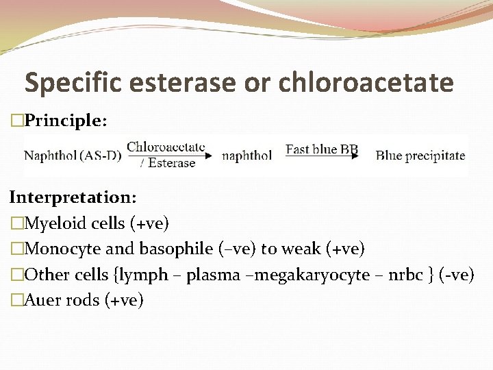 Specific esterase or chloroacetate �Principle: Interpretation: �Myeloid cells (+ve) �Monocyte and basophile (–ve) to