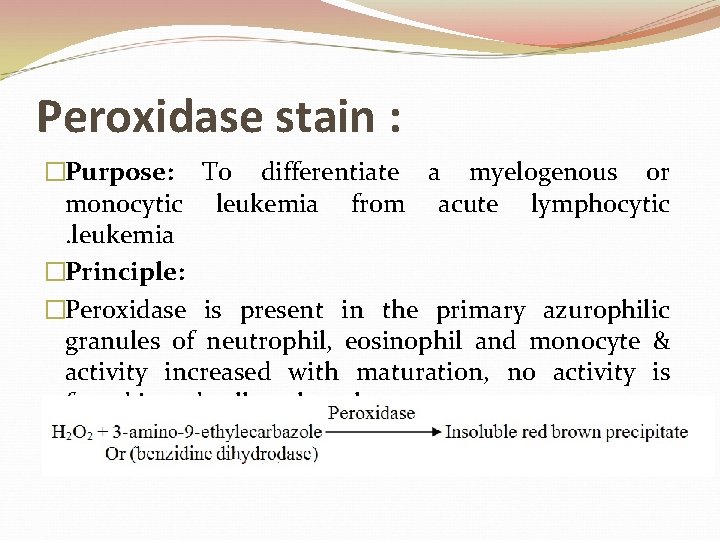 Peroxidase stain : �Purpose: To differentiate a myelogenous or monocytic leukemia from acute lymphocytic.