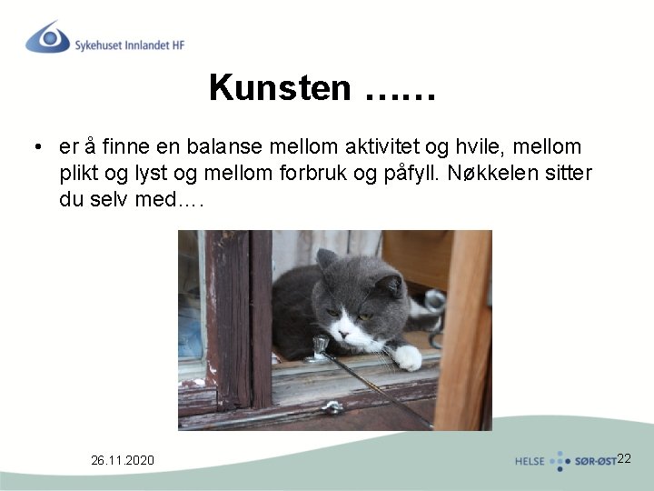 Kunsten …… • er å finne en balanse mellom aktivitet og hvile, mellom plikt