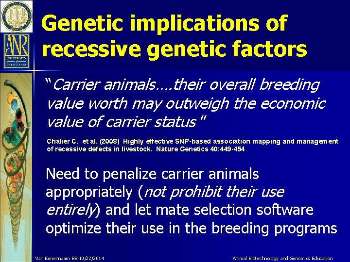 Genetic implications of recessive genetic factors “Carrier animals…. their overall breeding value worth may