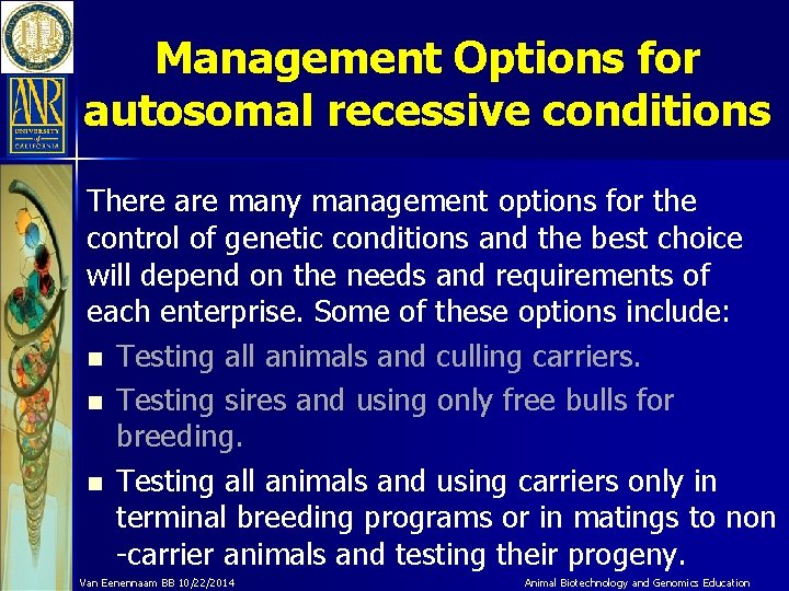 Management Options for autosomal recessive conditions There are many management options for the control