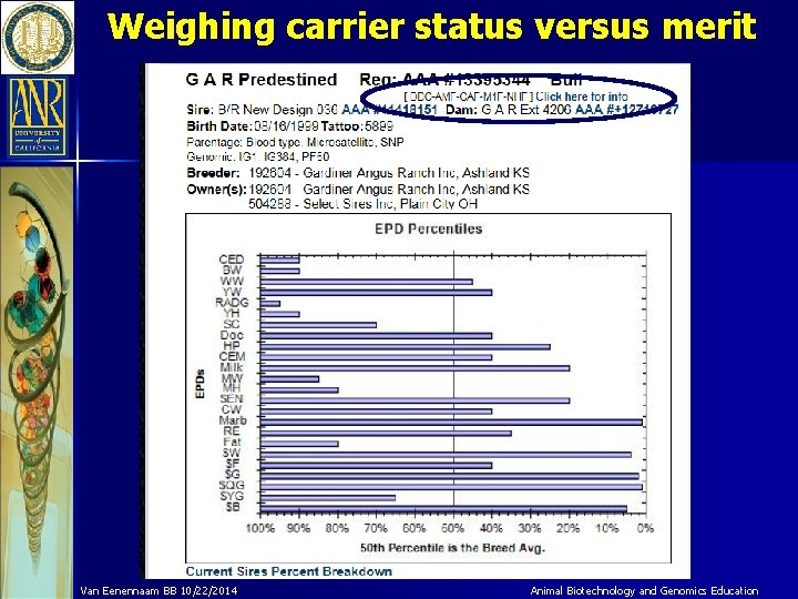 Weighing carrier status versus merit Van Eenennaam BB 10/22/2014 Animal Biotechnology and Genomics Education