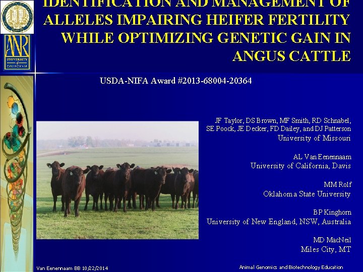 IDENTIFICATION AND MANAGEMENT OF ALLELES IMPAIRING HEIFER FERTILITY WHILE OPTIMIZING GENETIC GAIN IN ANGUS