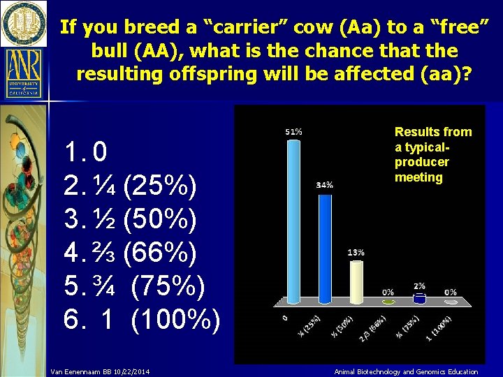 If you breed a “carrier” cow (Aa) to a “free” bull (AA), what is