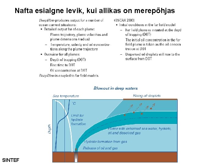 Nafta esialgne levik, kui allikas on merepõhjas SINTEF 