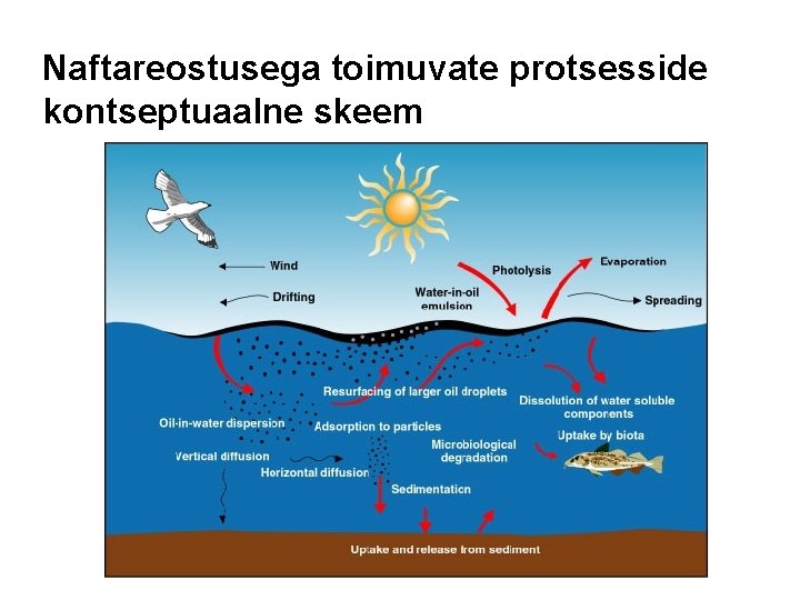 Naftareostusega toimuvate protsesside kontseptuaalne skeem 