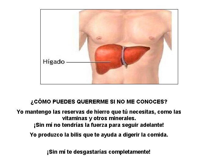 ¿CÓMO PUEDES QUERERME SI NO ME CONOCES? Yo mantengo las reservas de hierro que ¿CÓMO PUEDES QUERERME SI NO ME CONOCES? Yo mantengo las reservas de hierro que