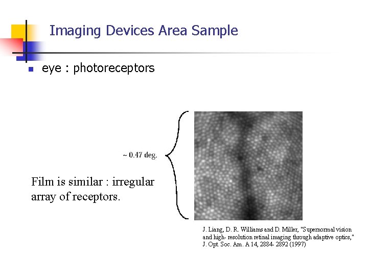 Imaging Devices Area Sample n eye : photoreceptors Film is similar : irregular array