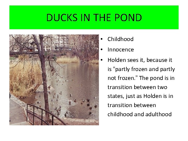 DUCKS IN THE POND • Childhood • Innocence • Holden sees it, because it