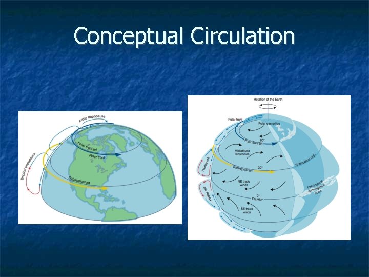 Conceptual Circulation 