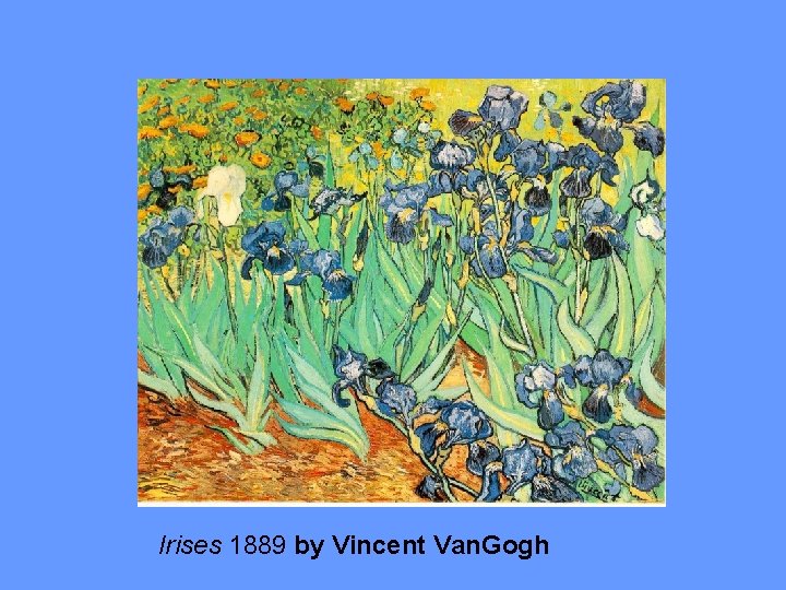 Irises 1889 by Vincent Van. Gogh 