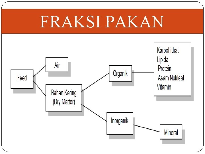 FRAKSI PAKAN 