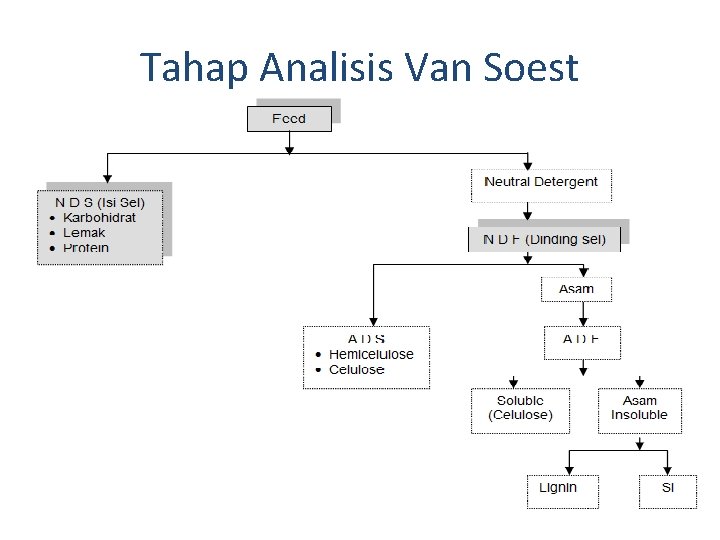 Tahap Analisis Van Soest 