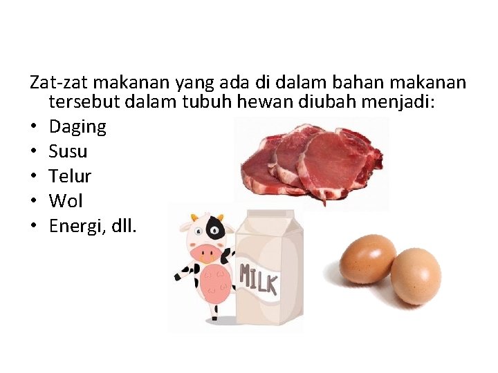 Zat-zat makanan yang ada di dalam bahan makanan tersebut dalam tubuh hewan diubah menjadi: