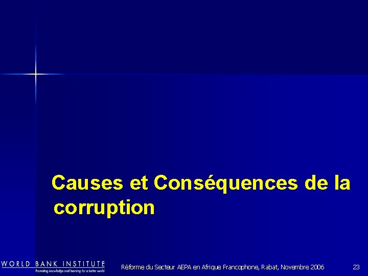  Causes et Conséquences de la corruption Réforme du Secteur AEPA en Afrique Francophone,