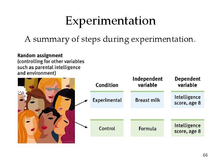 Experimentation A summary of steps during experimentation. 66 